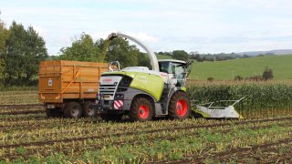 Five key features of the new Claas Jaguar forage harvester