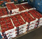 Behind the scenes at one of Europe's largest fruit and veg co-ops