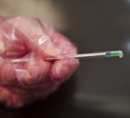 Hundreds of unclaimed bull semen straws set to be destroyed in New Zealand