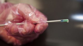 Hundreds of unclaimed bull semen straws set to be destroyed in New Zealand