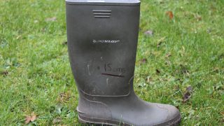 How do you assess your grass covers?