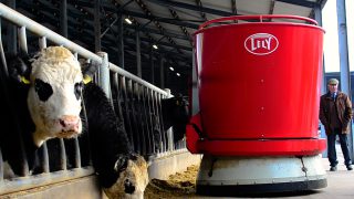 Video: A robotic feeding system with a difference in Co. Cork