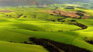 New Zealand’s ‘largest farmer’ to sell off 10 farms totalling 11,650ha
