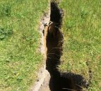 Lamb rescued after being trapped in New Zealand earthquake chasm