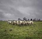 Storm Ciara: Amber and yellow warnings in force across the UK