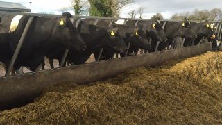 ‘Uncertain times’ ahead for the world dairy trade