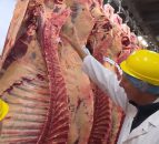 Call for NI farmers to ‘stand firm’ against abattoirs on beef prices