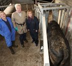 TB update: Chief vet says 'better surveillance' pushing up TB incidence rates