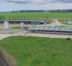 Kiwi dairy operation which milks over 3,000 cows to go under the hammer