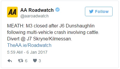 crash-meath