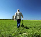 North's 'beef from grass' projects oversubscribed by nearly 170%