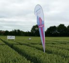 New Syngenta fungicide receives early approval for use in Ireland
