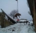 Hundreds of livestock injured, dead and missing following Italian quakes