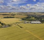 Ulster Farmers' Union calls on politicians to 'back farming' ahead of general election