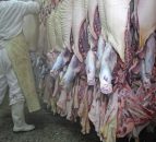 'Major hygiene failings' at 25% of abattoirs in the UK