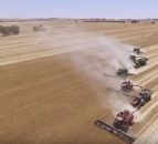 Video: Drone footage captures the scale of the Australian harvest