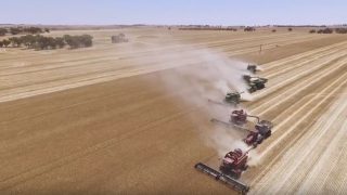 Video: Drone footage captures the scale of the Australian harvest