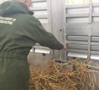 Fears mount over 'agri budget underspend' in Northern counties