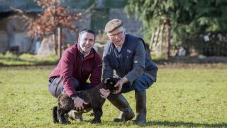 ‘Even quiet, docile dogs can turn into killers’