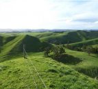 Pics: Would you be interested in this 500ha farm in New Zealand?