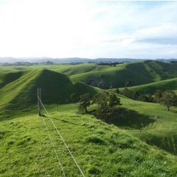 farm, New Zealand