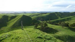Pics: Would you be interested in this 500ha farm in New Zealand?