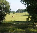 13ac farm worth $450,000 up for grabs in an essay competition in the US