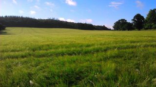 Falling farm income forces farmer to diversify into brewery venture