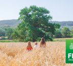 After a 'period of significant change' FBD invests €2.5m in rebrand