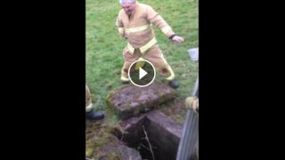 Video: Firefighters use unorthodox measures to rescue trapped lamb