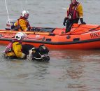 Video: Cattle rescued from the sea after 15m cliff fall