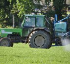 Farmers urged to destroy 'noxious' weeds...for the betterment of all