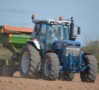Price of green diesel in February increased by over 21% year-on-year