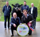 Newry Show 2017 to host Aberdeen Angus extravaganza