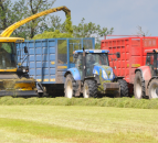 How much will it cost to get your (pit) silage cut?