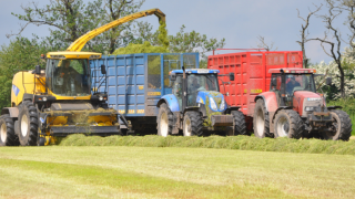 How much will it cost to get your (pit) silage cut?