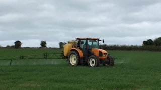 Best-practice cereal management tips – for the month of May