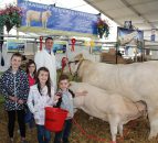 Breeders split on merits of four-day Balmoral Show