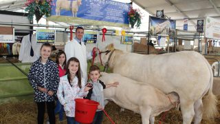 Breeders split on merits of four-day Balmoral Show