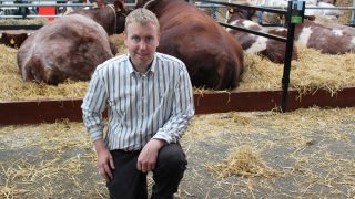 Breed championship double for Co. Down breeder on day one of Balmoral Show