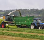 Reminder: The 'Great Grass Event' aims to set new forager world record tomorrow