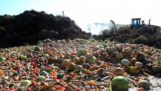 Food waste tackled in new Reduction Roadmap initiative