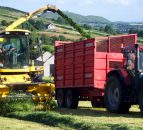 Young farmer snubs court date in favour of silage
