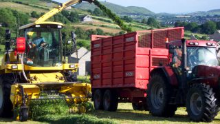 Young farmer snubs court date in favour of silage
