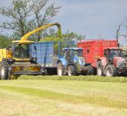 When is the best time to cut your silage?