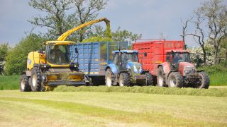 When is the best time to cut your silage?