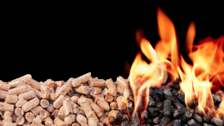 NI farmers cleared of wrongdoing after RHI audit