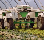 Video: Have your weeding done by robot Dino