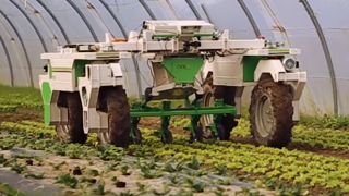 Video: Have your weeding done by robot Dino