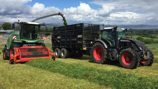 How is this Fendt forager faring in Northern Ireland?